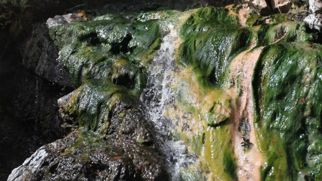 当一个东西黏糊糊的,这到底为了什么?