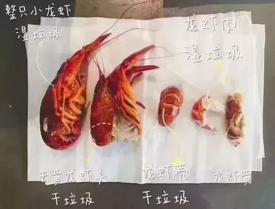 史上最严垃圾分类新规,最严厉的垃圾分类视频