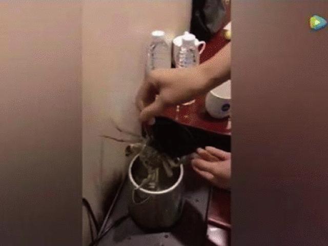 旅行好物折叠烧水壶,适合旅游的折叠电水壶