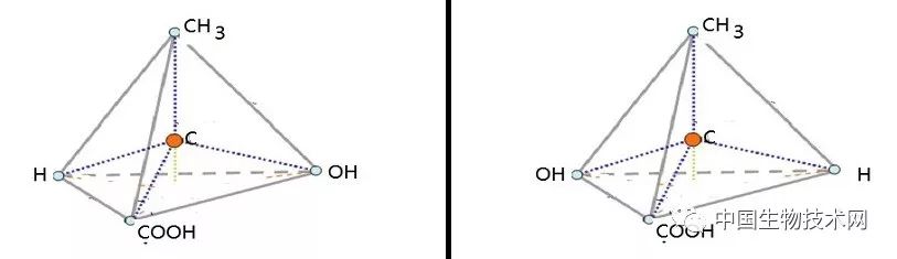 手性药物为什么分左右,怎么验证天然药物的手性