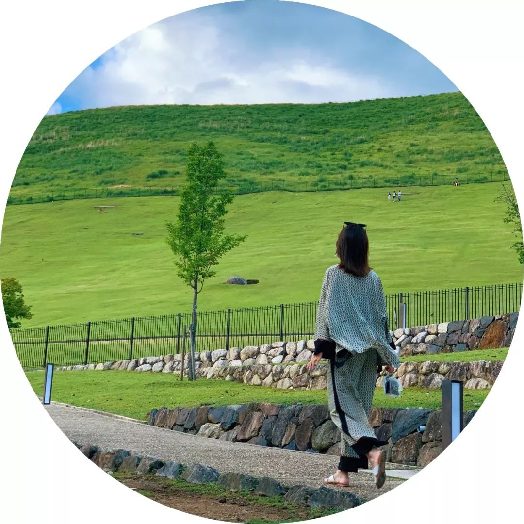 深圳人均500吃的怎么样,深圳一天10块钱能吃什么