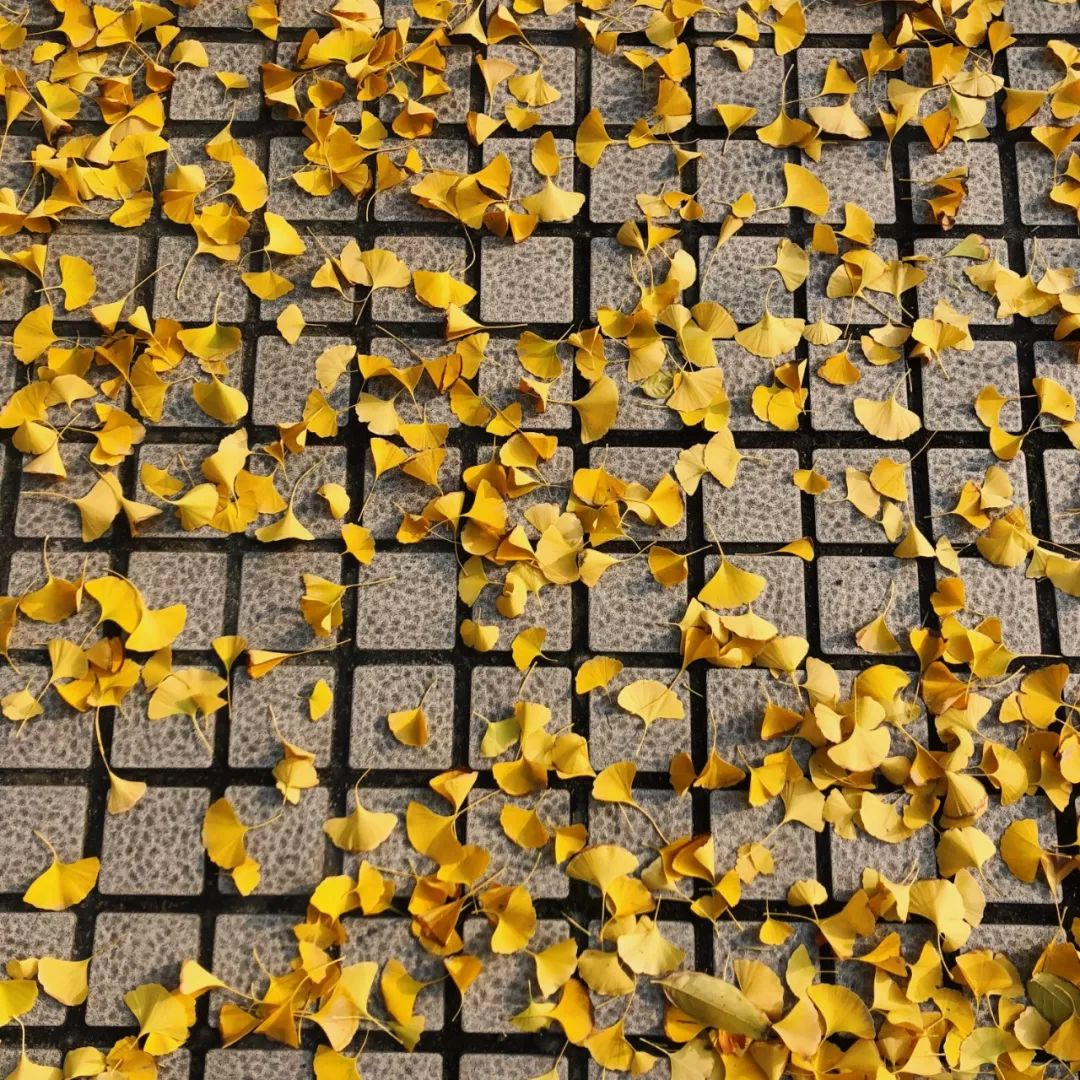 别了！交大城院