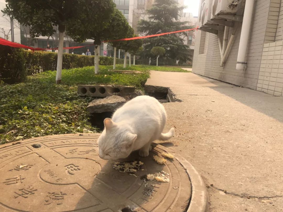 别了！交大城院