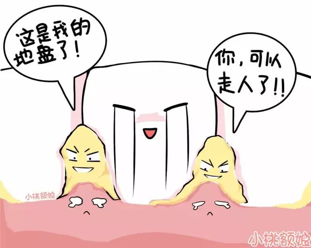 洗牙的真相,洗牙的全过程究竟是怎样的呢