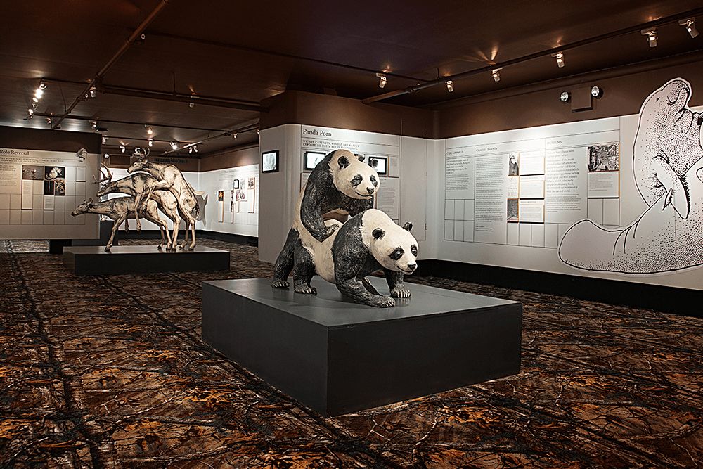 在纽约看展只去大都会和MoMA？这十个小众艺术馆不容错过