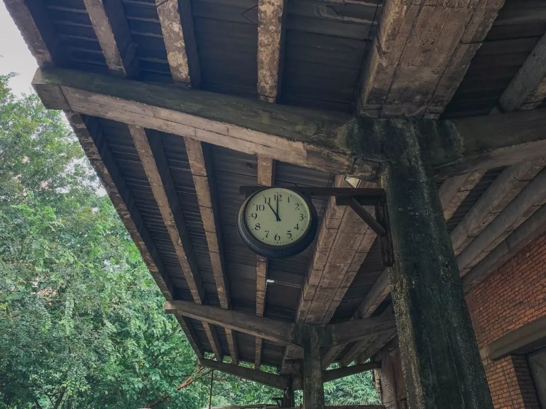 红专厂,红专厂现在的情况