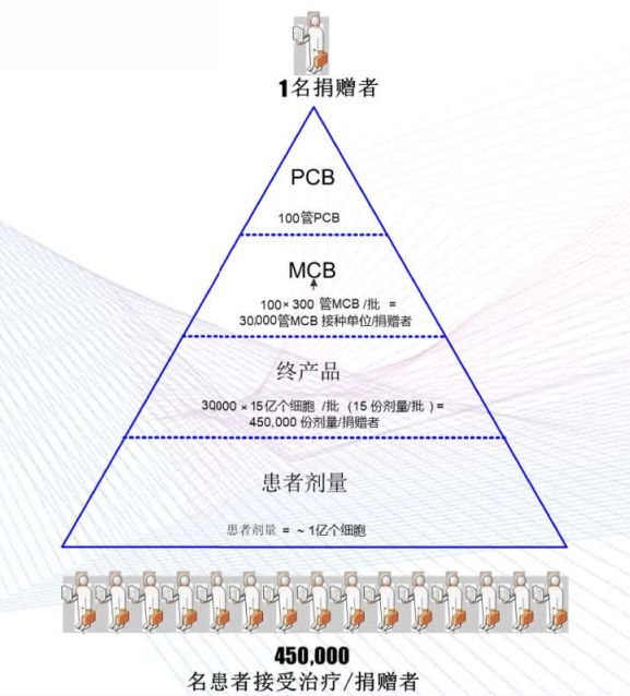 中国神经干细胞治疗中风临床试验,中国干细胞治疗脑中风突破性进展