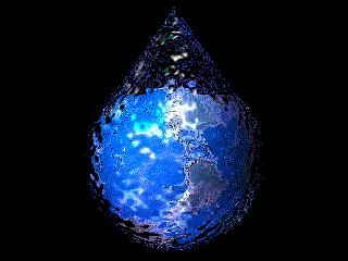 显微镜看到的藻类微生物形态图,藻类浮游生物