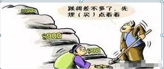 100万入市炒股,100万买入股票升了11个点