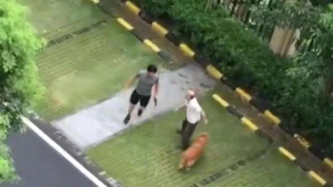 紧急！合肥车主，抓紧时间去办理这种卡！|新闻早班车