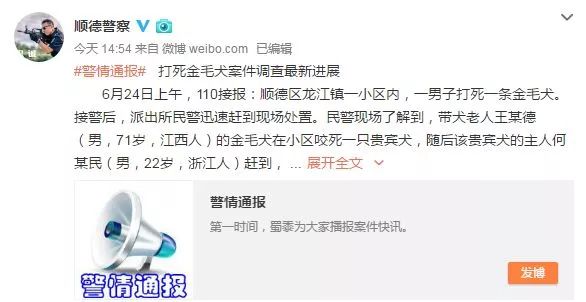 打死金毛犬最新进展,金毛犬被打死后续