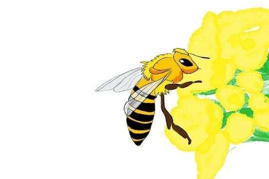 蜂王浆，你吃对了吗？