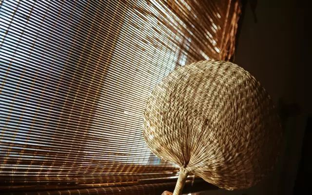 小时候的夏天为什么不热,小时候为什么不怕热