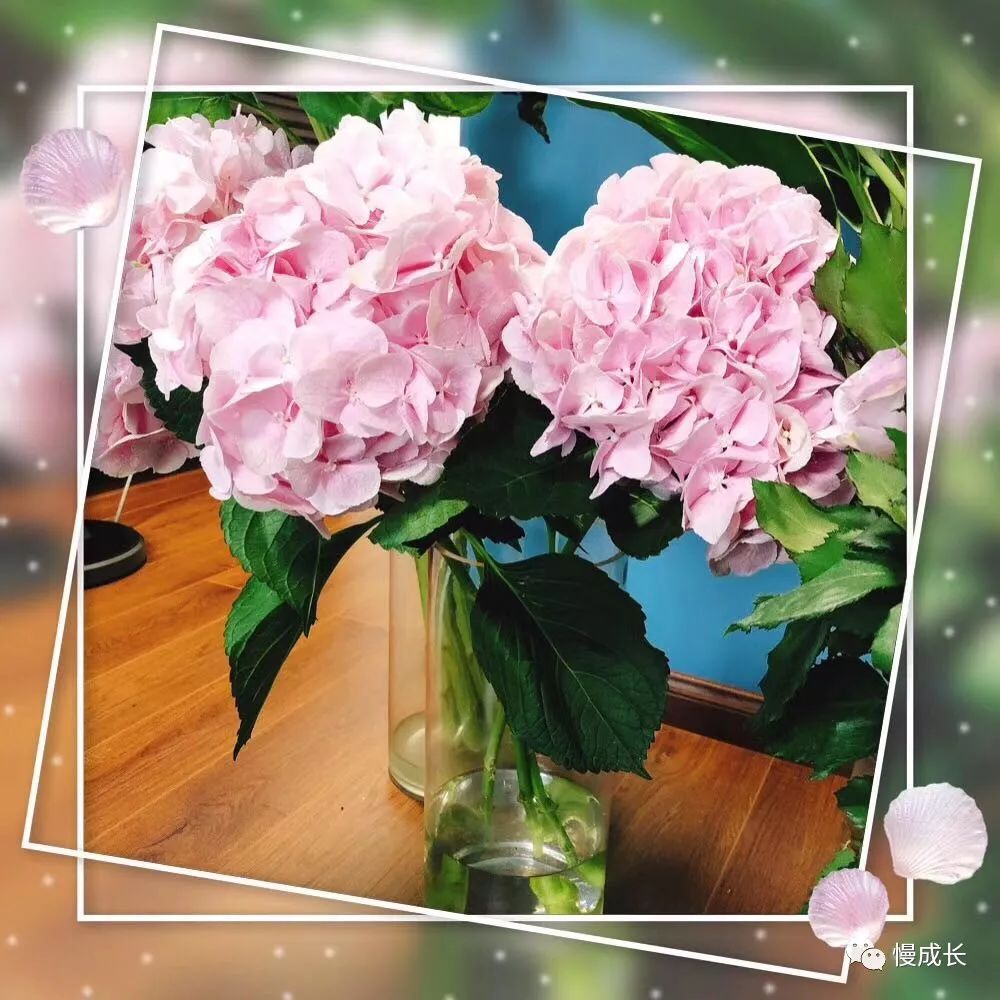 初二休学一年环游世界,夫妻休学带孩子环游世界