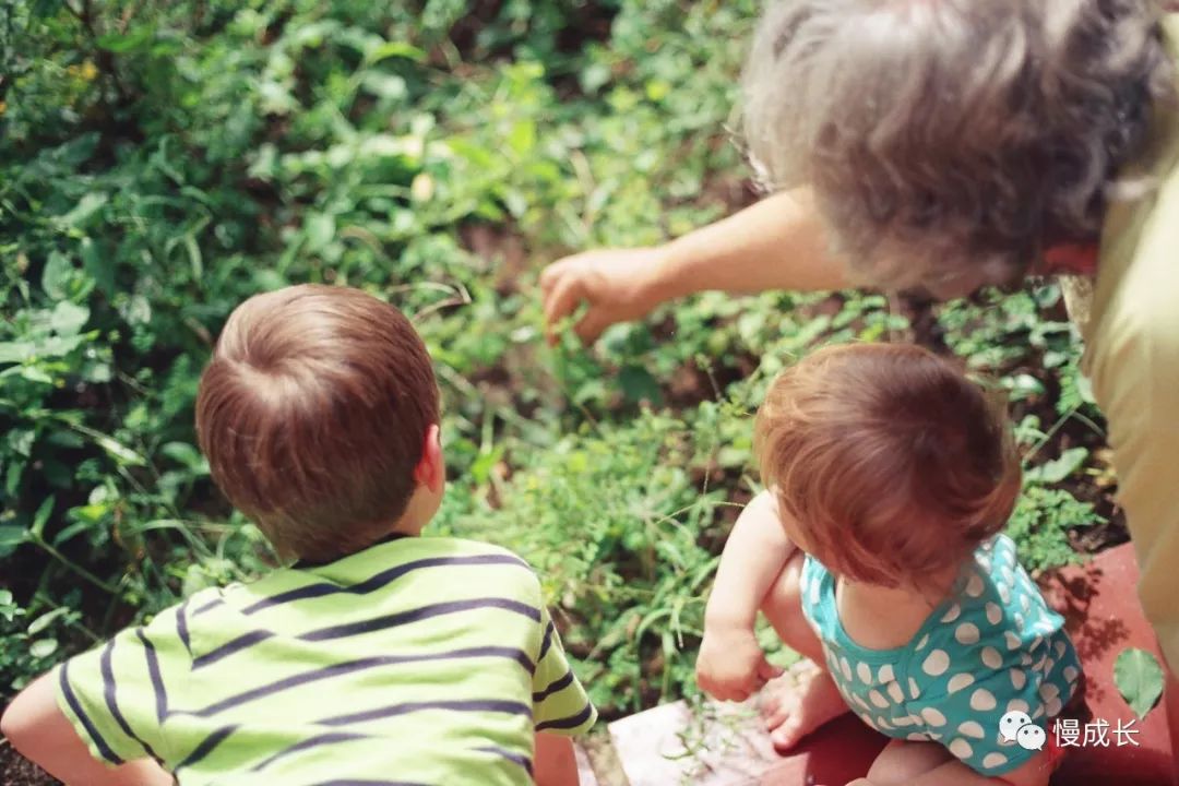 初二休学一年环游世界,夫妻休学带孩子环游世界