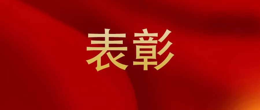 巴中表彰,四川巴中优秀干部