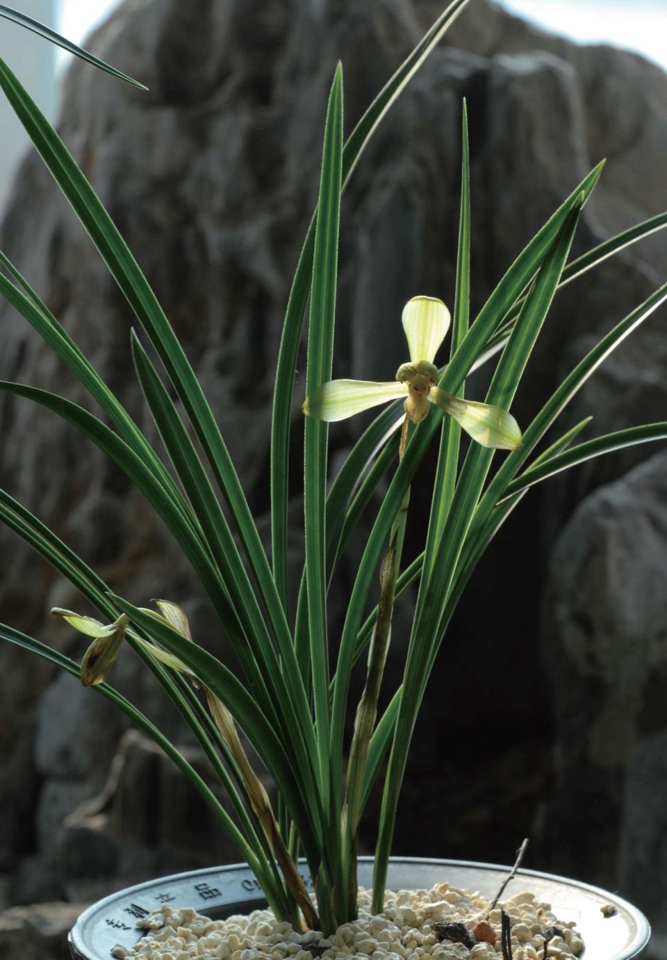 被知识付费坑,知识付费这四年你被坑了多少