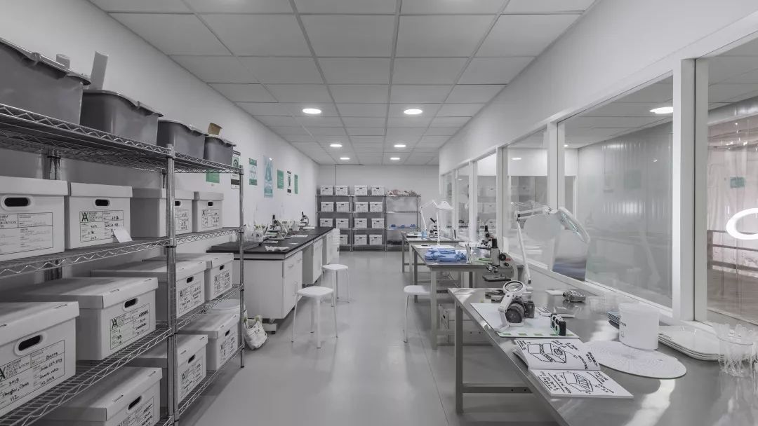 “在现”DanielArsham的八块拼图