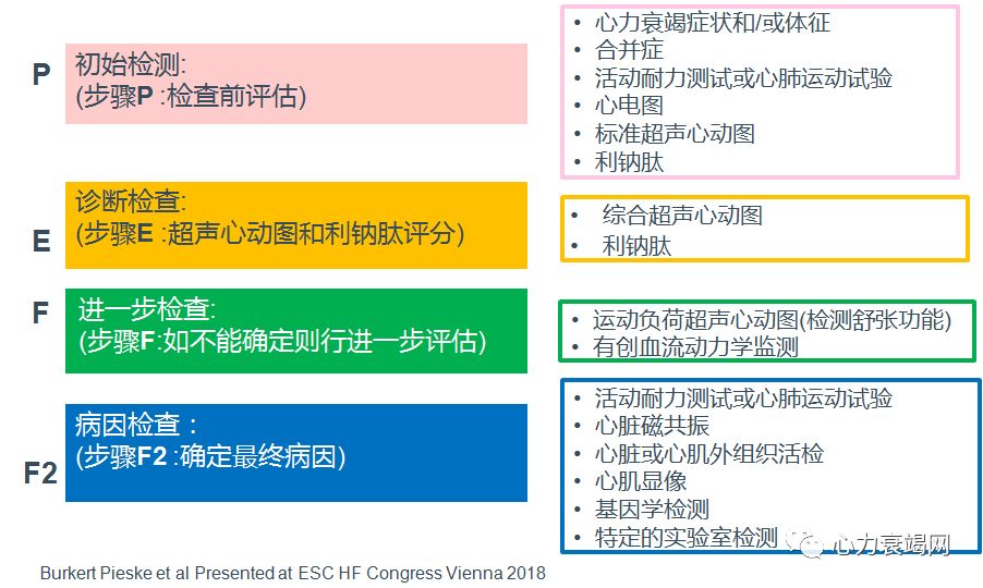 「2019CIHFC」高传玉教授：HFpEF诊断治疗新进展