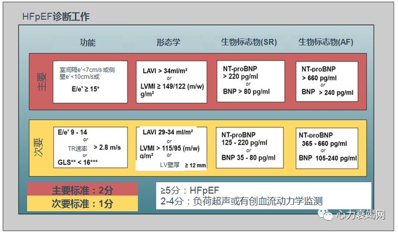 「2019CIHFC」高传玉教授：HFpEF诊断治疗新进展