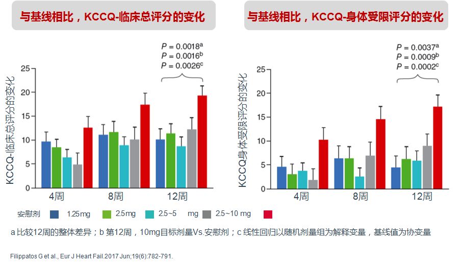 「2019CIHFC」高传玉教授：HFpEF诊断治疗新进展