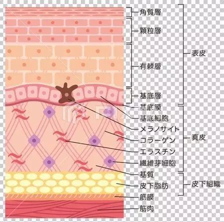 涂什么都没效果怎么办,涂啥都不吸收