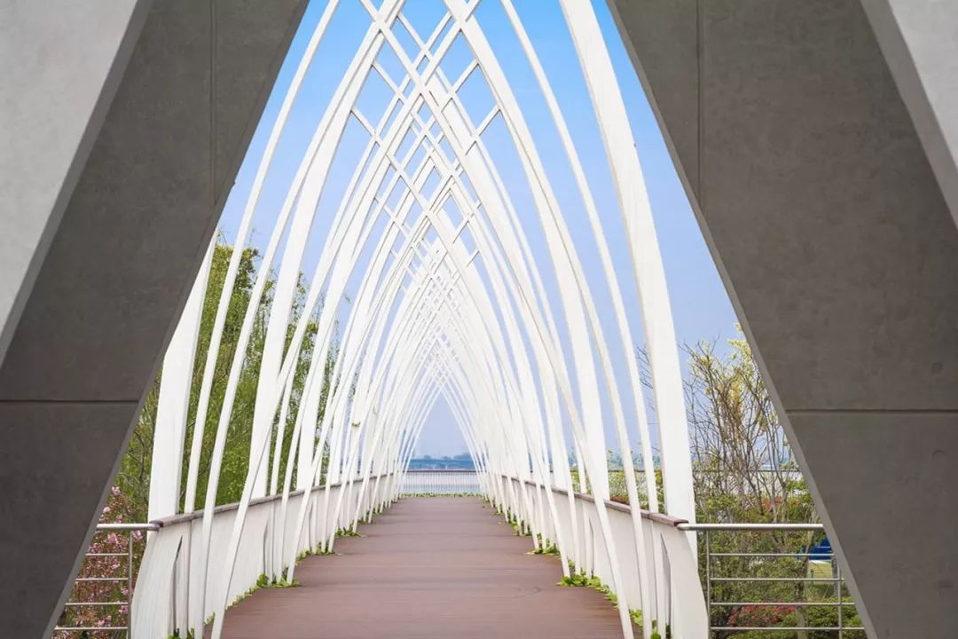 天呐！武汉这个区开挂了！反正我是羡慕了！