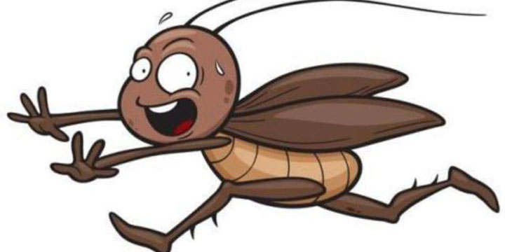 家里蟑螂最怕的方法,家里有蟑螂教你一招让蟑螂去无踪