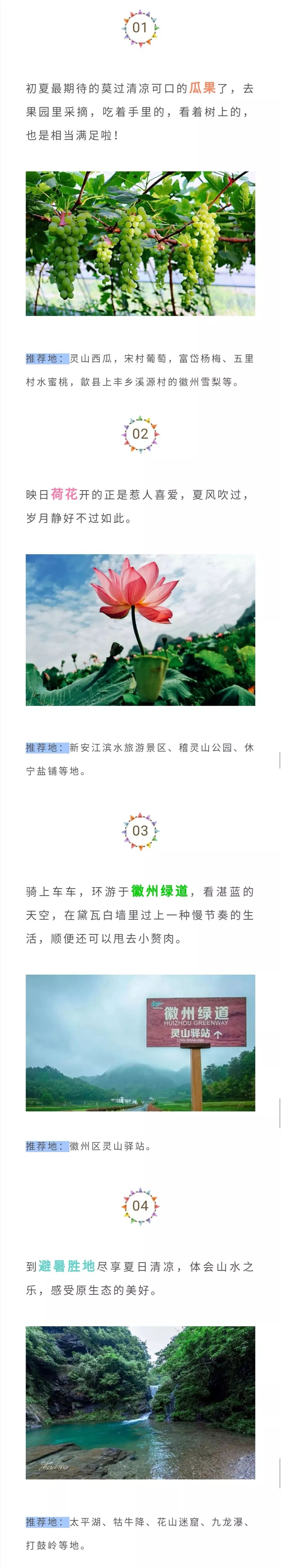 来黄山必做四件事,初夏黄山必打卡