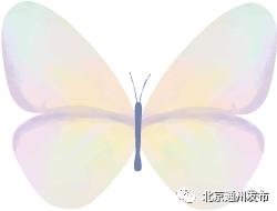 閫氬窞浣撹偛鍏洯,鍖椾含閫氬窞浣撹偛鍏洯