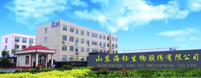 让爱回家温情,综艺片让爱回家