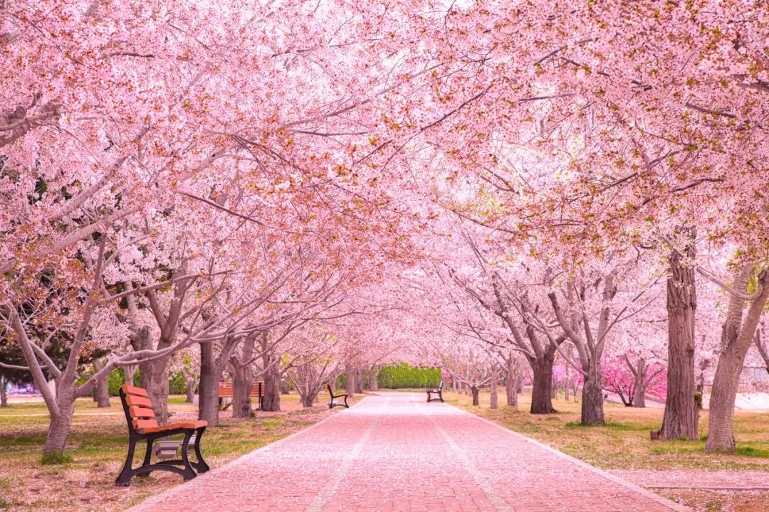 自驾到厦门的感受,自驾游去厦门需要注意什么