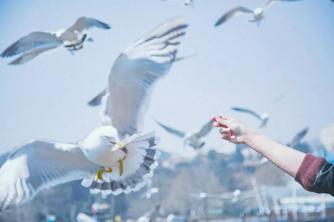 自驾到厦门的感受,自驾游去厦门需要注意什么