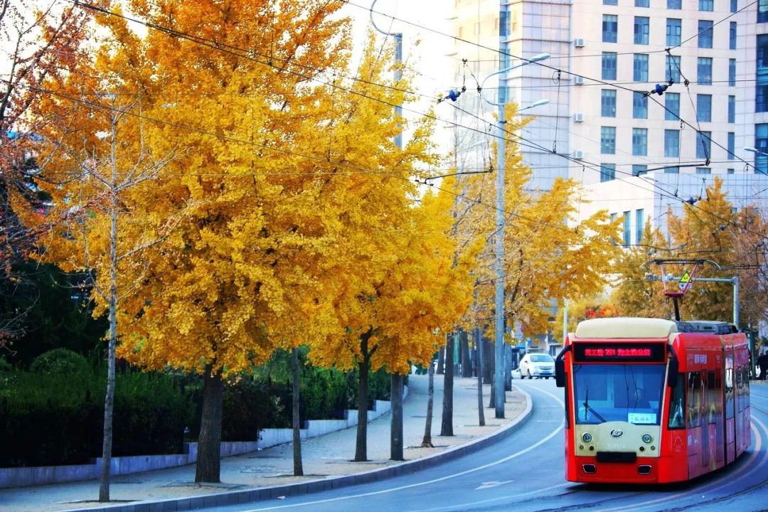 自驾到厦门的感受,自驾游去厦门需要注意什么