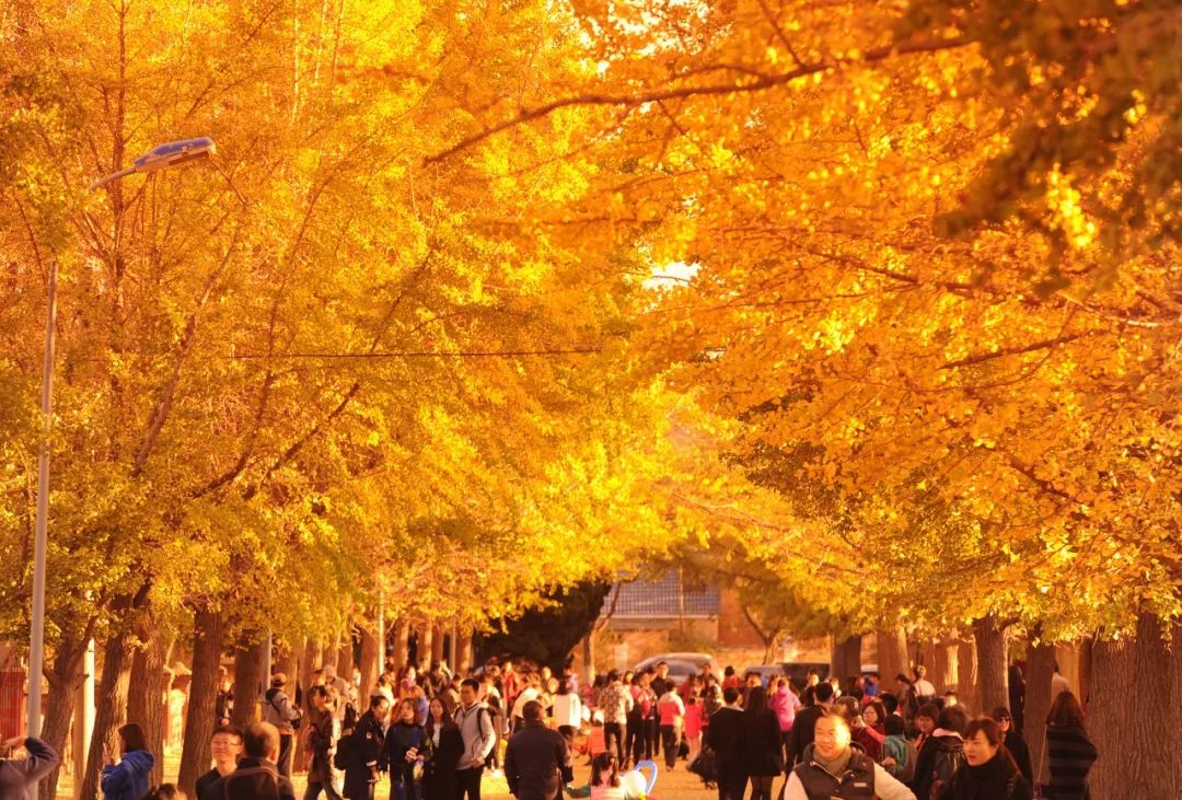 自驾到厦门的感受,自驾游去厦门需要注意什么