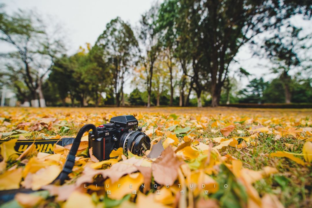 自驾到厦门的感受,自驾游去厦门需要注意什么