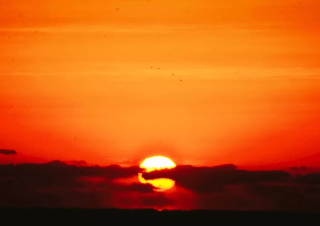 自驾到厦门的感受,自驾游去厦门需要注意什么