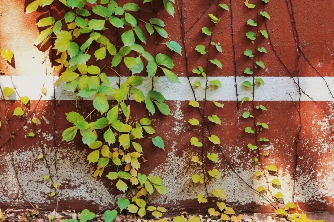 自驾到厦门的感受,自驾游去厦门需要注意什么