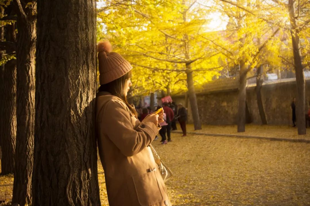 自驾到厦门的感受,自驾游去厦门需要注意什么