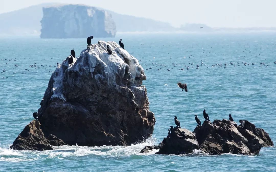 自驾到厦门的感受,自驾游去厦门需要注意什么