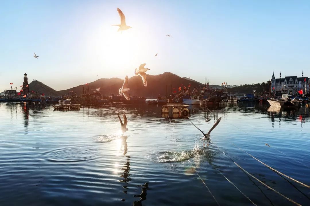 自驾到厦门的感受,自驾游去厦门需要注意什么