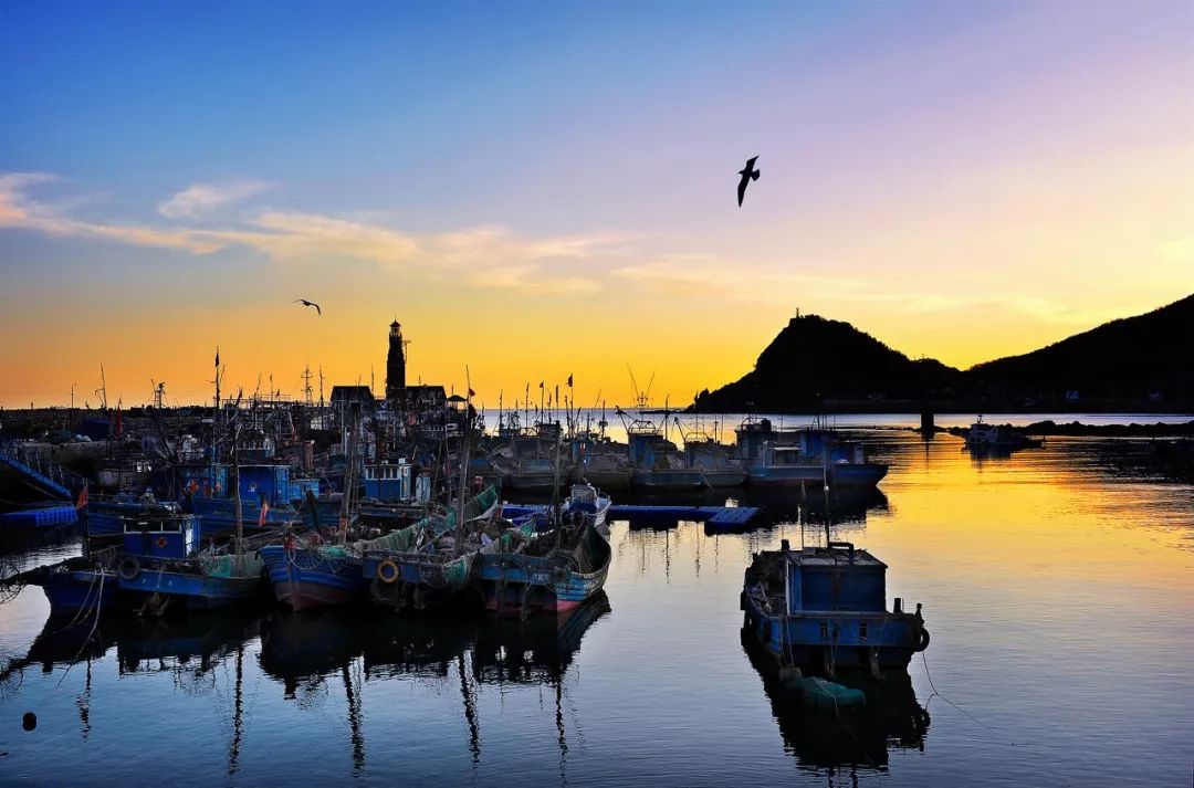 自驾到厦门的感受,自驾游去厦门需要注意什么