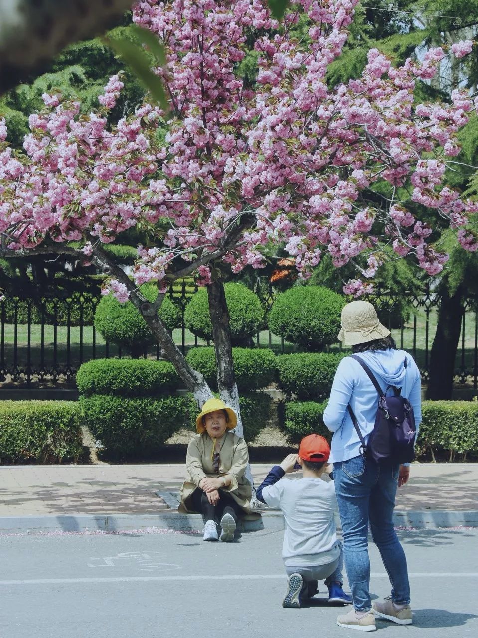 自驾到厦门的感受,自驾游去厦门需要注意什么