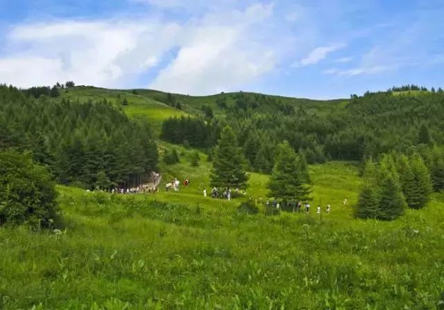 透心凉！有了这些均温不足20℃的空调山，再热情的“烤验”也挡得住