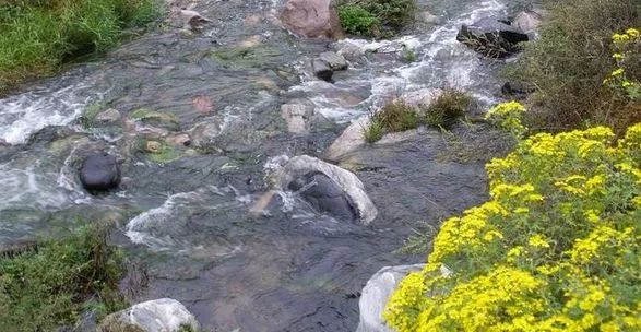 透心凉！有了这些均温不足20℃的空调山，再热情的“烤验”也挡得住