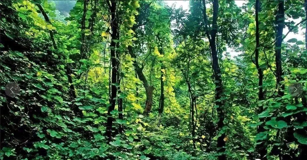 透心凉！有了这些均温不足20℃的空调山，再热情的“烤验”也挡得住