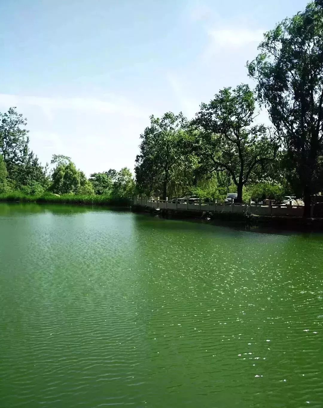 透心凉！有了这些均温不足20℃的空调山，再热情的“烤验”也挡得住