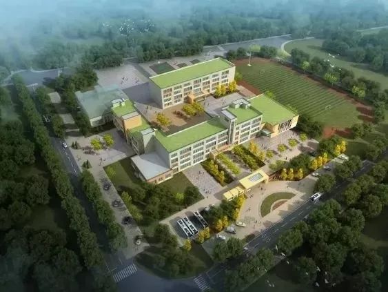 2023年有几所学校投入使用,新区内公办学校有哪些