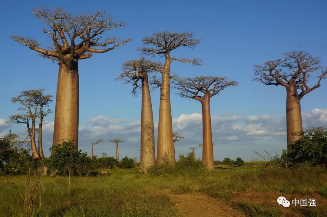 马达加斯加不可思议的旅行,马达加斯加自然景观
