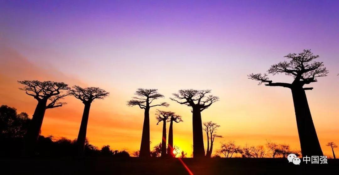 马达加斯加不可思议的旅行,马达加斯加自然景观